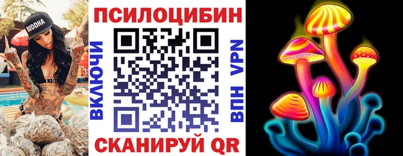 Галлюциногенные грибы Cubensis  где продают   omg как зайти  Горячий Ключ 